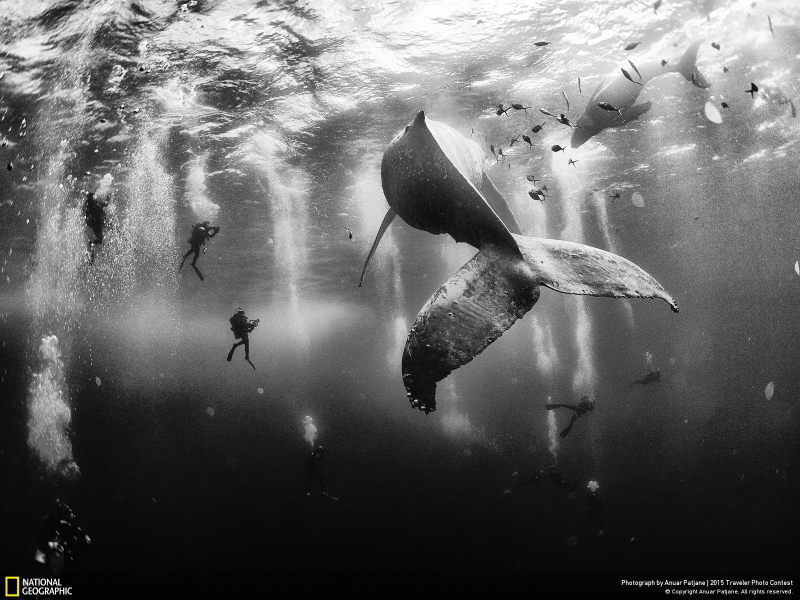 Illustration for article titled Here Are the Winners of National Geographic's Traveler Photo Contest